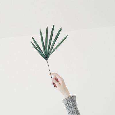 威斯尼斯人wns8888