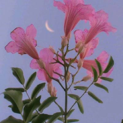 pg棋牌软件平台手机app下载